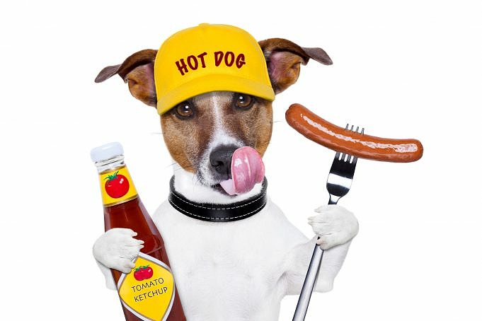 Is Ketchup Slecht Voor Honden?