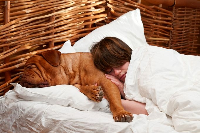 Waarom Slaapt Mijn Hond Op Mijn Hoofd? Of Dichtbij? 11 Redenen: